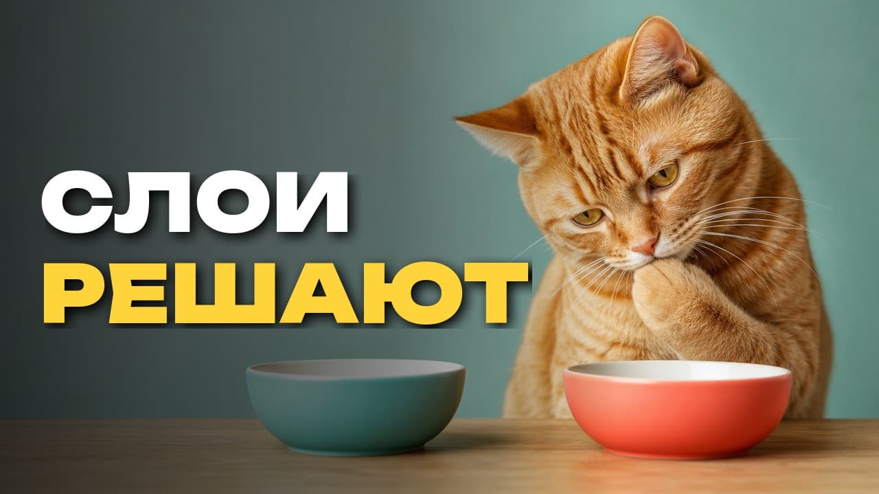 Canva Craft заняла 4-е место: для креатора важнее, что макет можно править