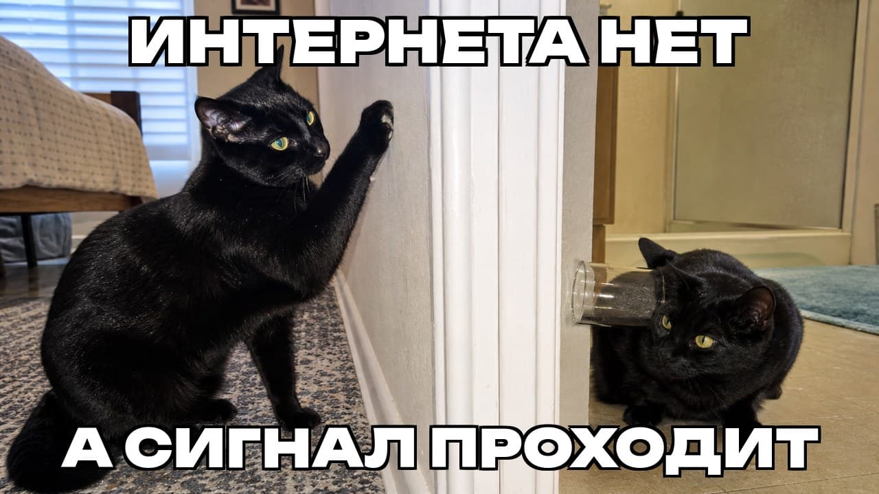 Мем: Интернета нет / А сигнал проходит