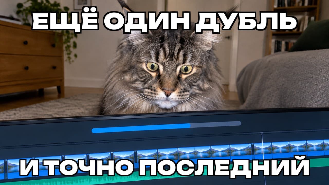 Мем: Ещё один дубль / И точно последний