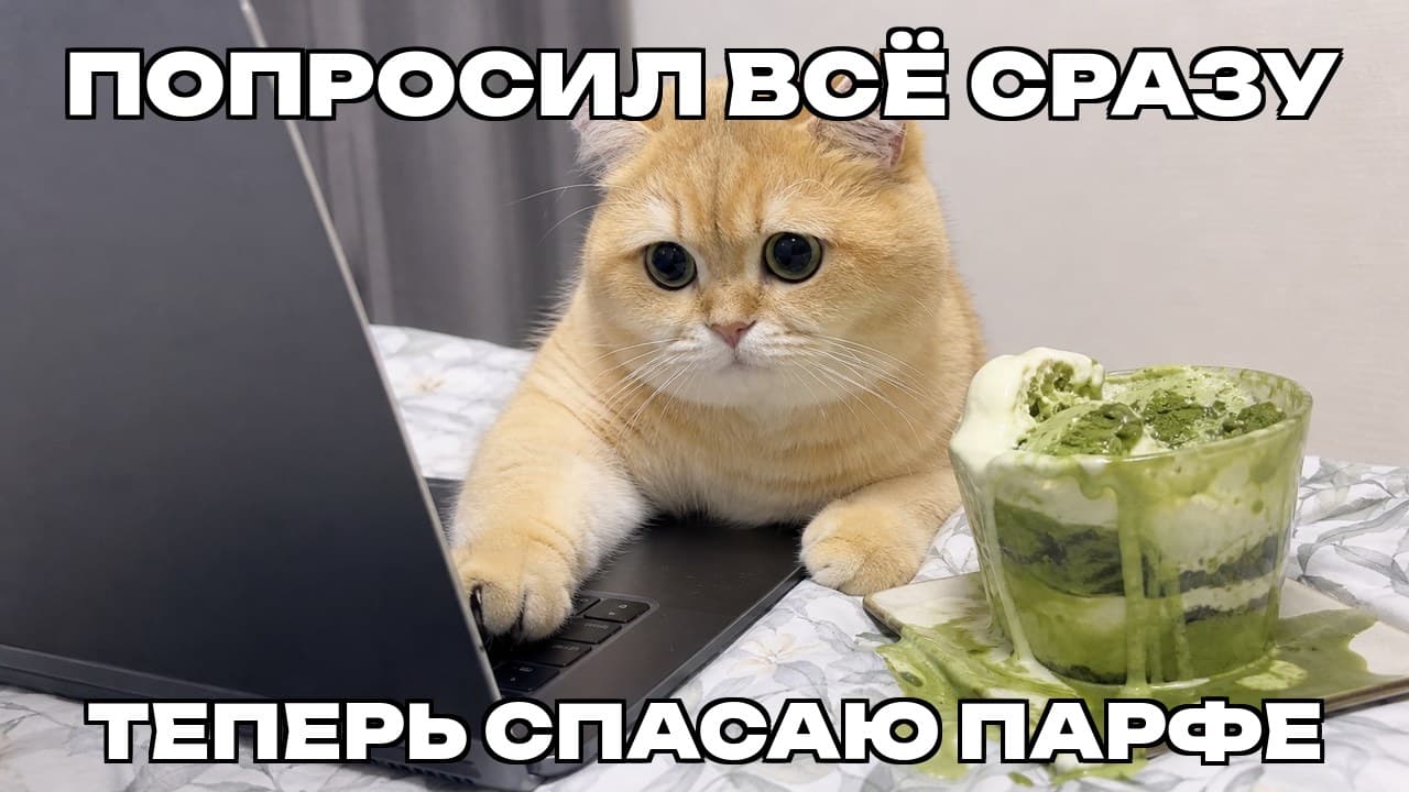 Мем: Попросил всё сразу / Теперь спасаю парфе