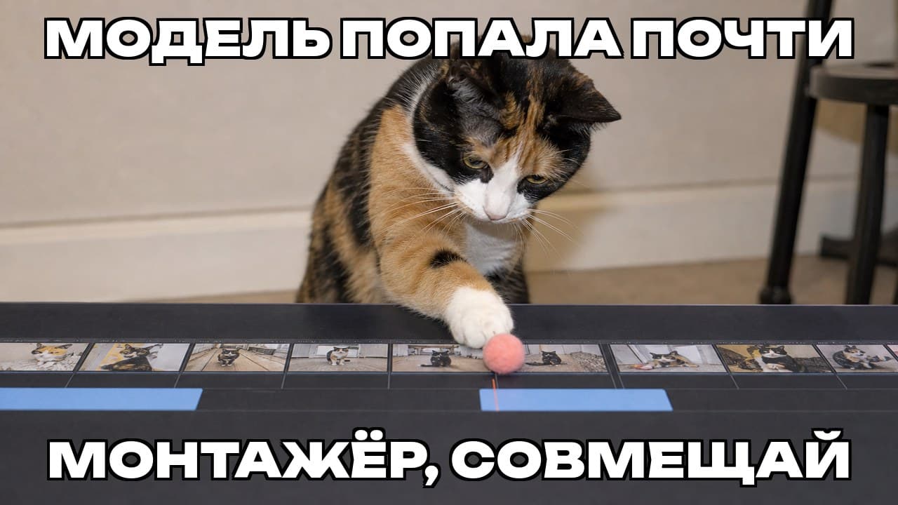 Мем: Модель попала почти / Монтажёр, совмещай