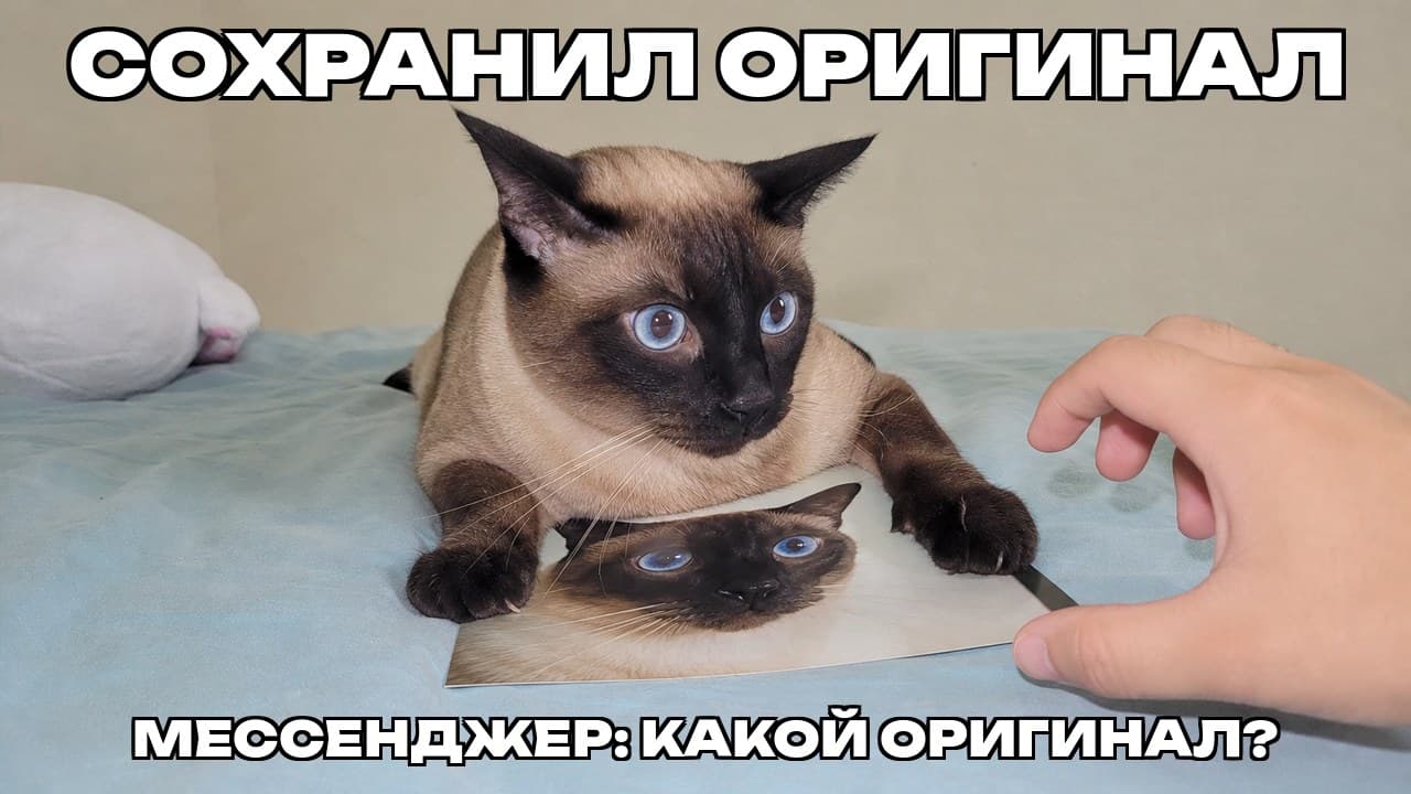 Мем: Сохранил оригинал / Мессенджер: какой оригинал?