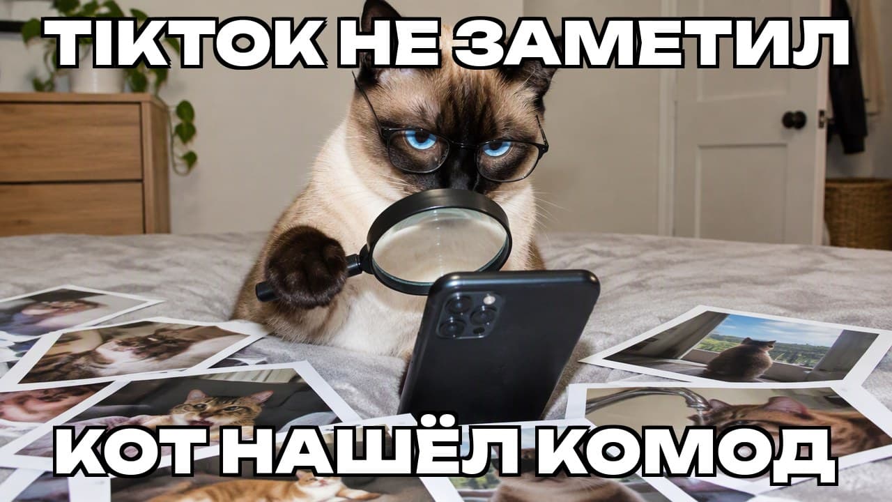Мем: TikTok не заметил / Кот нашёл комод