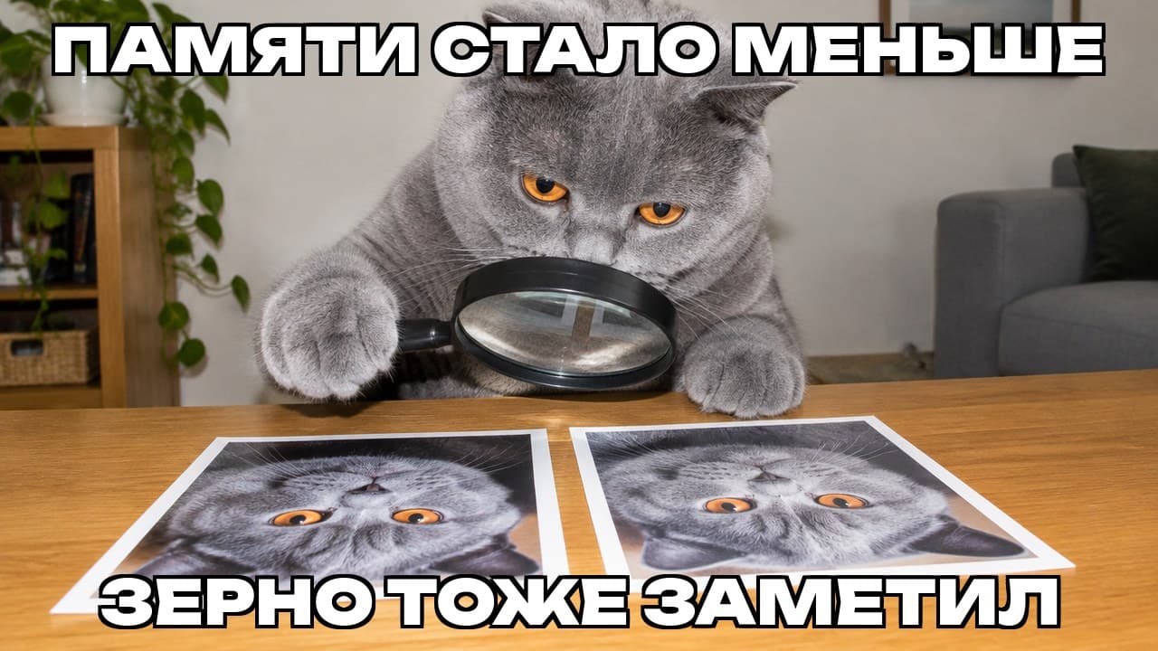 Мем: Памяти стало меньше / Зерно тоже заметил