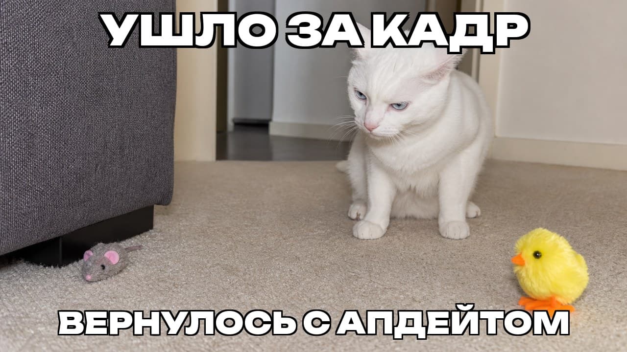 Мем: Ушло за кадр / Вернулось с апдейтом