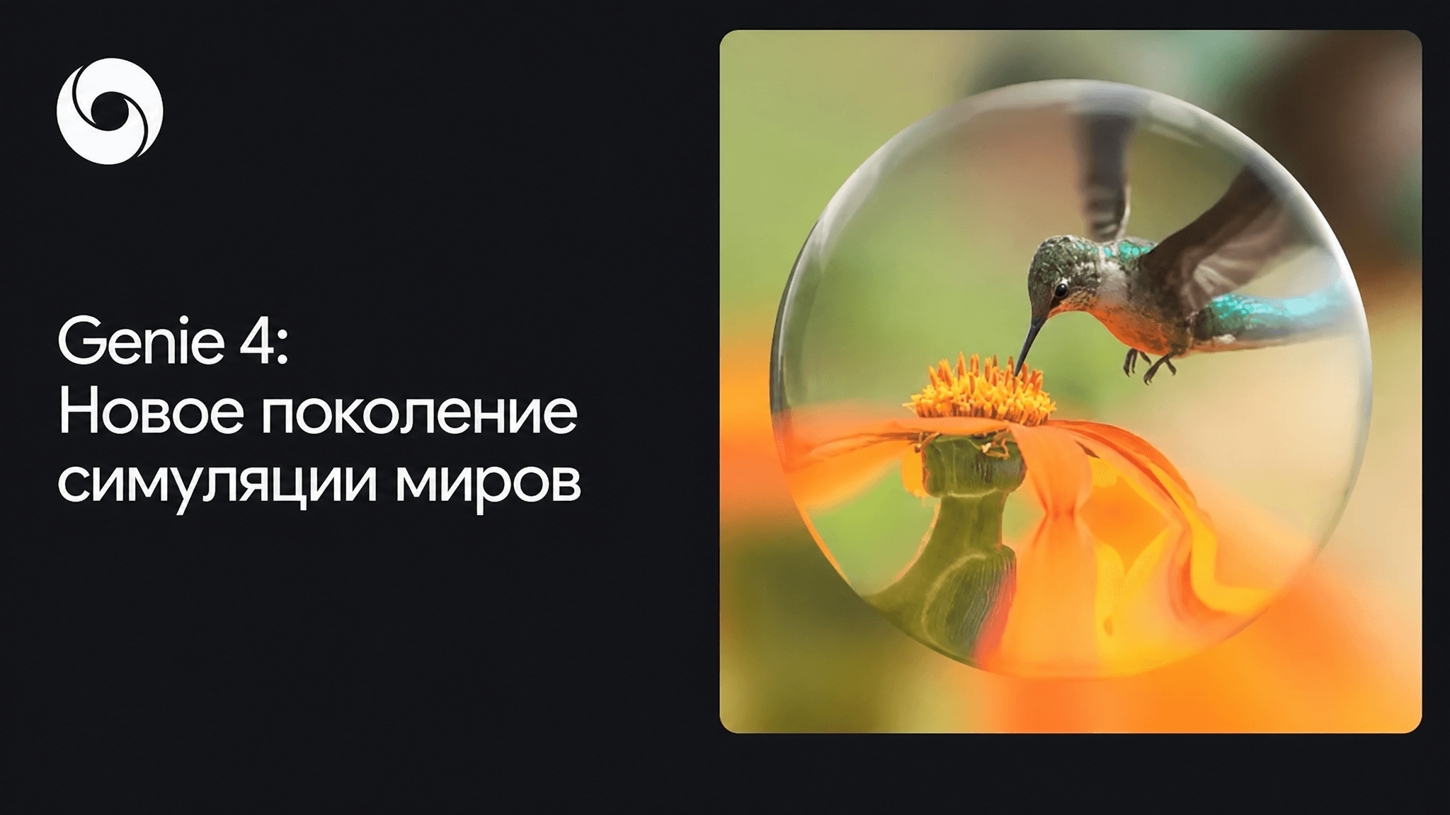 Заставка Genie 4 с изображением колибри в сферической сцене, связанная с интерактивной симуляцией миров.