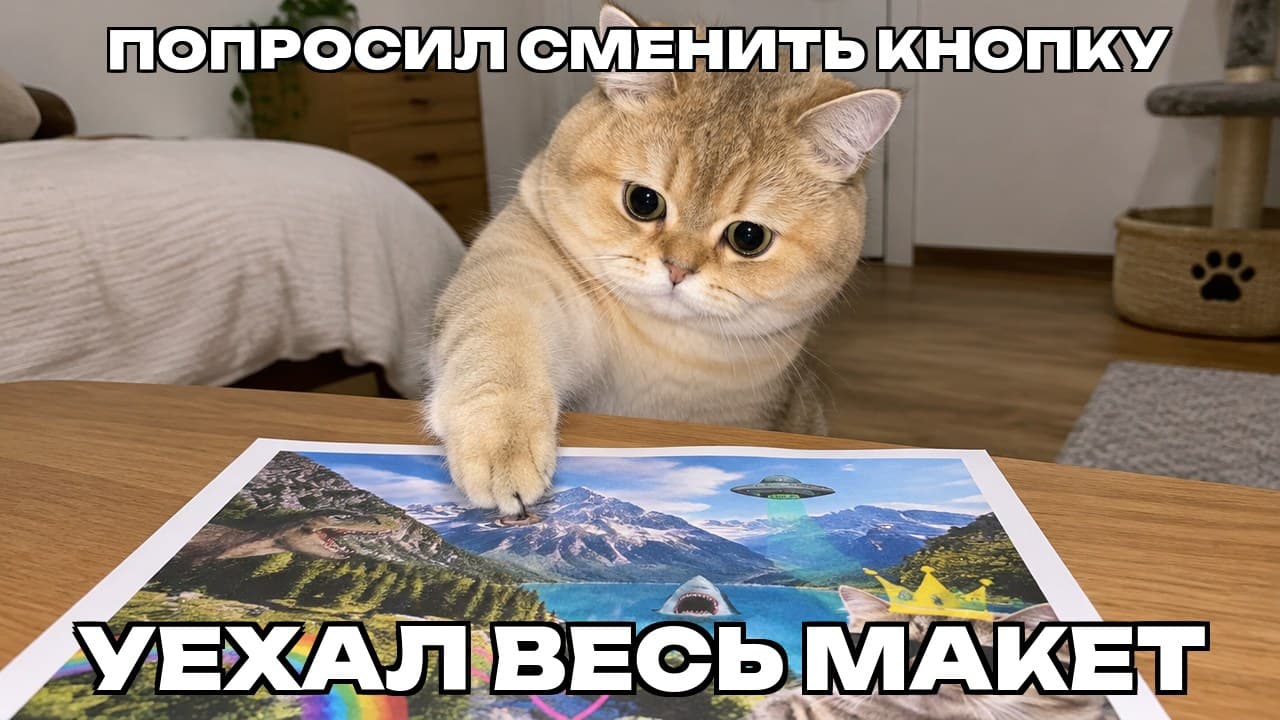 Мем: Попросил сменить кнопку / Уехал весь макет