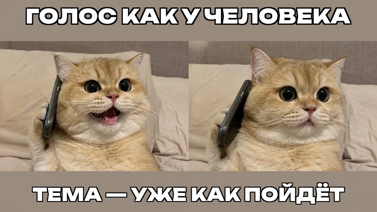 Мем: Голос как у человека / Тема — уже как пойдёт