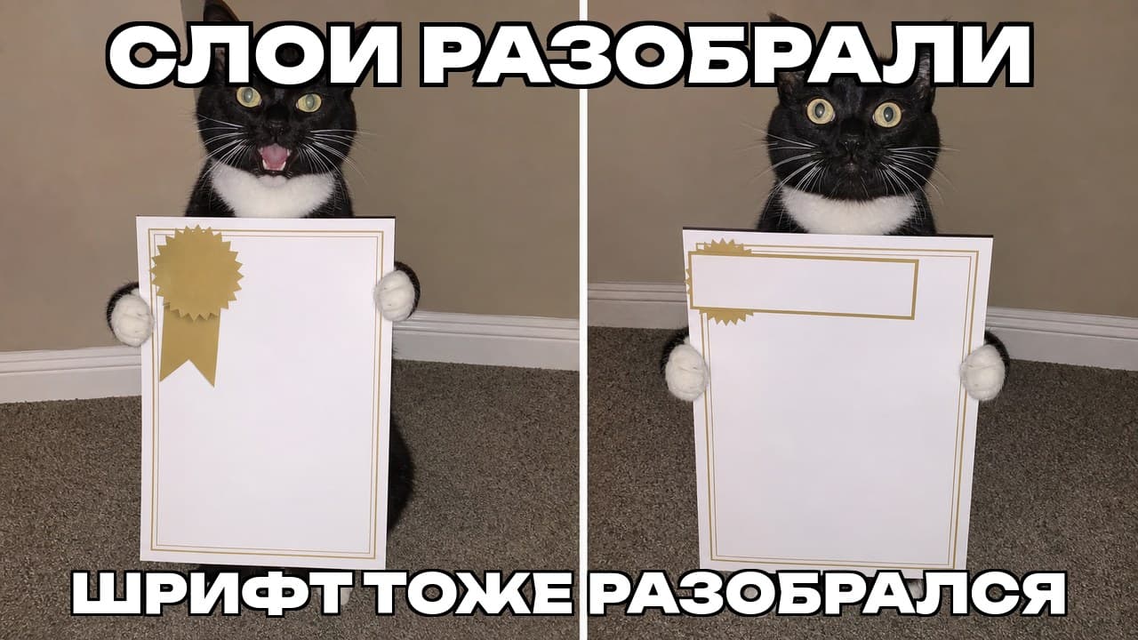 Мем: Слои разобрали / Шрифт тоже разобрался