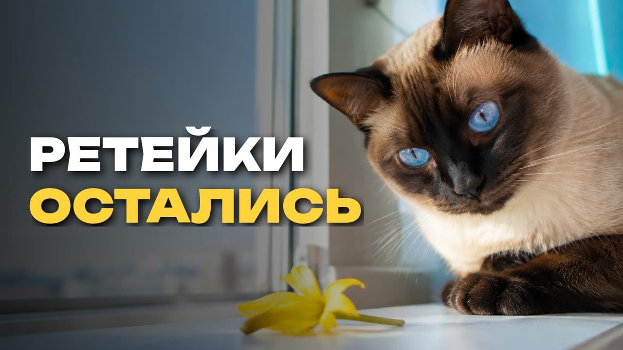 Kling 3.0 генерирует видео до 15 секунд: где мультишоты экономят монтаж, а где нет