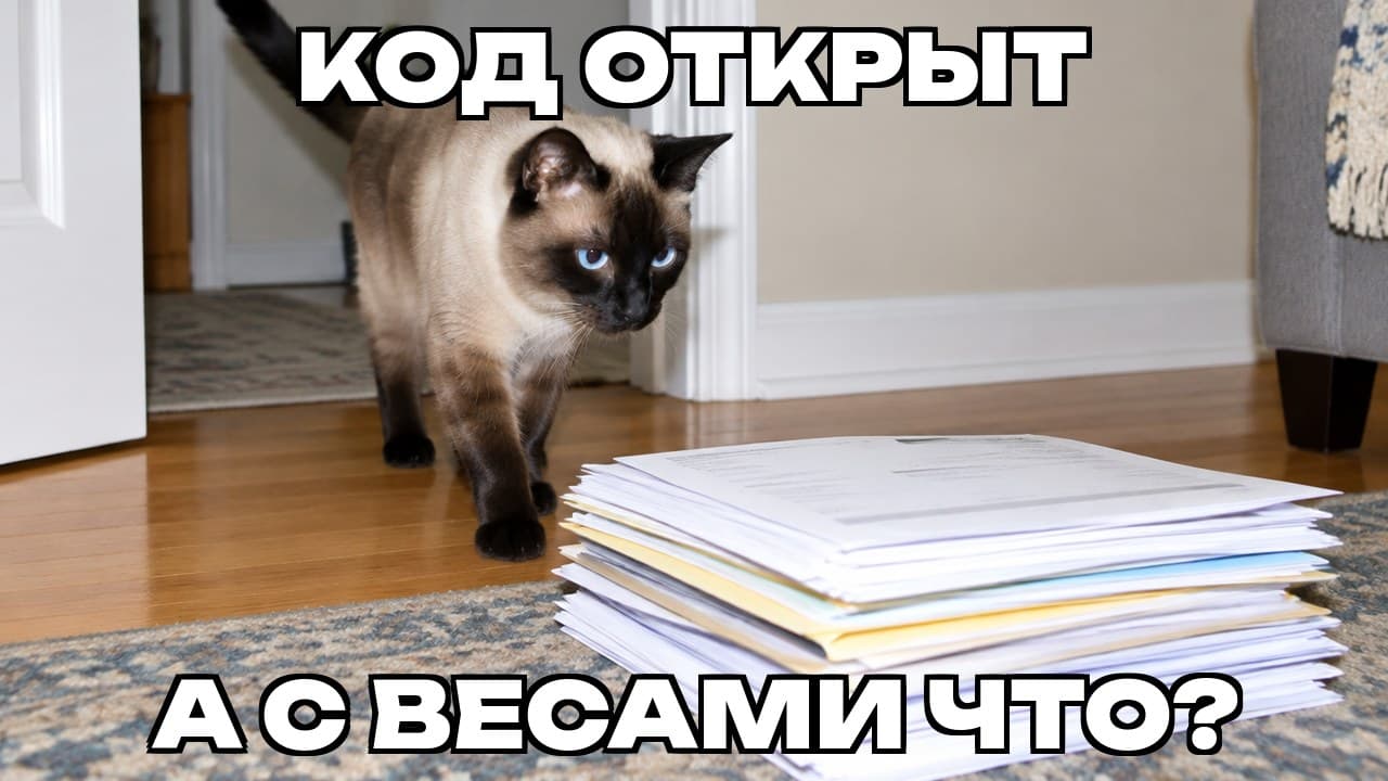 Мем: Код открыт / А с весами что?