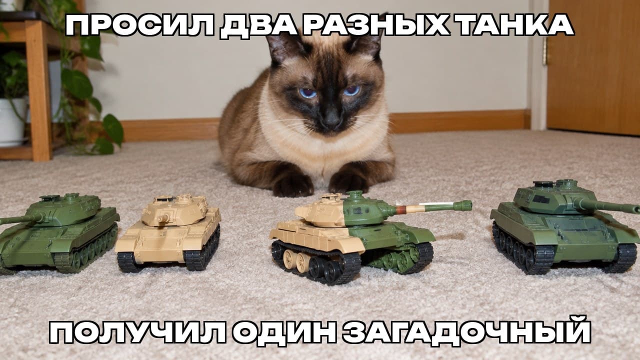 Мем: Просил два разных танка / Получил один загадочный