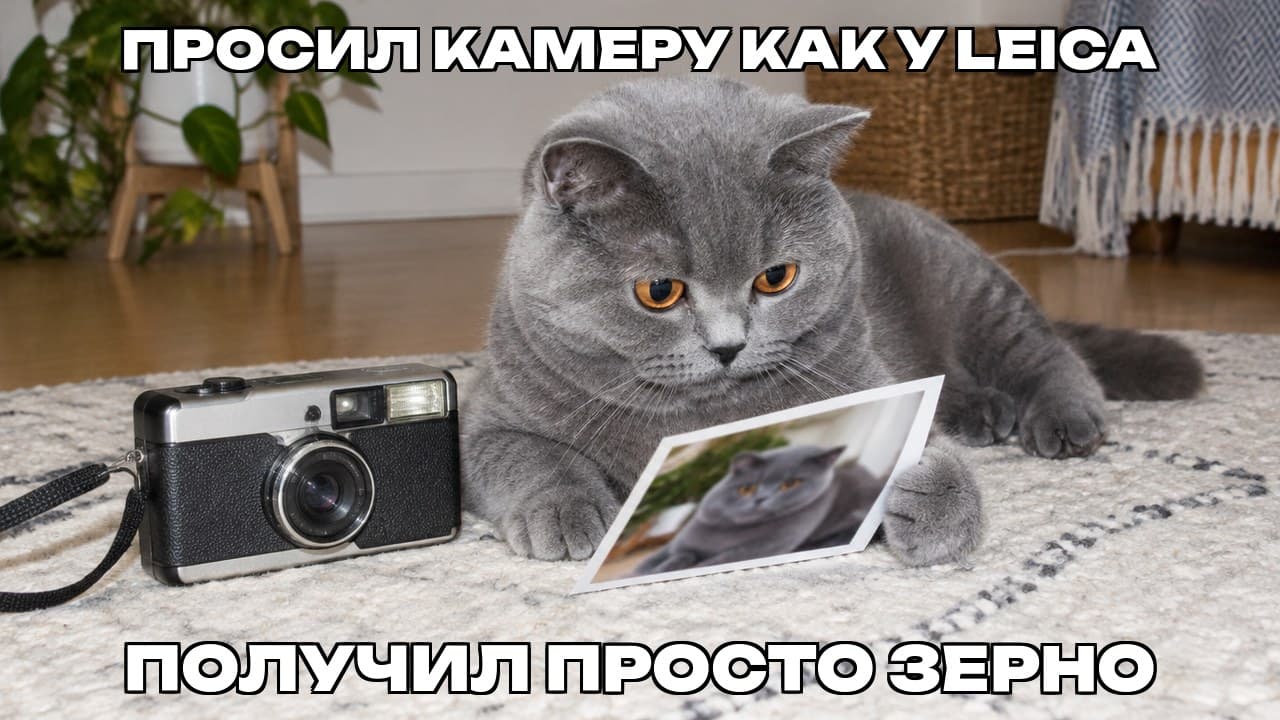 Мем: Просил камеру как у Leica / Получил просто зерно