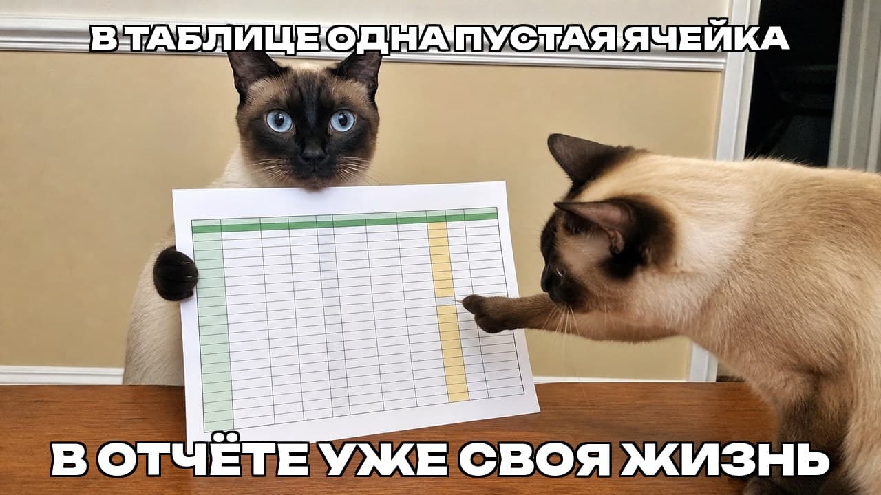 Мем: В таблице одна пустая ячейка / В отчёте уже своя жизнь